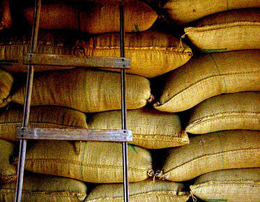 Verbesserung der landwirtschaftlichen Produkte